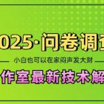 2025问卷调查最新工作室技术解密：一个人在家也可以闷声发大财，小白一天2张，可矩阵放大【揭秘】