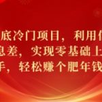 年底冷门项目，利用信息差，实现零基础上手，轻松赚个肥年钱【揭秘】