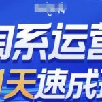 淘系运营21天速成班(更新24年12月)，0基础轻松搞定淘系运营，不做假把式