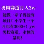 能做一辈子的蓝海项目？小学生一个月也有3000+，yw男粉赛道，永恒的暴利