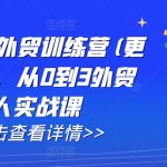 AI闪电做外贸训练营(更新12月)，从0到3外贸万人实战课