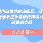 跨境电商独立站训练营，从小白到精通手把手教你做跨境+独立站建站实战