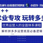 术业专攻玩转多多，优秀运营人的全面体系课程，解析拼多多运营底层必备逻辑