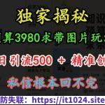 预算3980求带 图片玩法，单条日引流500+精准创业粉，私信根本回不完