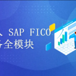 深入浅出学习 SAP S4 HANA FICO 财务全模块