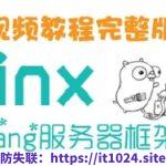 Zinx-Golang轻量级TCP服务器框架 – 带源码课件