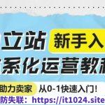 独立站新手入门体系化运营教程，助力独立站卖家从0-1快速入门!