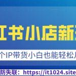 小红书小店新玩法，蹭这个IP带货，小白也能轻松月入过W【揭秘】