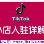 TikTok跨境小店运营全攻略，帮助你独立运营TK跨境小店的能力，实现销量增长