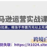 亚马逊运营实战课程，亚马逊从入门到精通，性价比高，相当于市面万元以上元课程