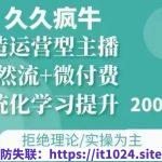 久久疯牛·自然流+微付费(12月23更新)打造运营型主播，包11月+12月