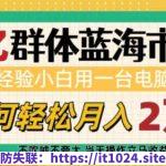 6亿群体蓝海市场，零经验小白用一台电脑，如何轻松月入过w【揭秘】