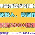 2025年最新独家引流方法，低投入高回报？当日引流300+精准创业粉