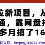 网盘拉新项目，从入门到精通，靠网盘拉新3个多月搞了16W