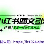 小红书图文引流创业粉，最稳引流方法，日引300+可批量操作