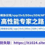 零声-DPDK网络存储虚拟化开发（vpp/OvS/DDos/SDN/NFV/SPDK）