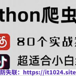 80个通俗易懂的Python爬虫练手项目