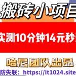 搬砖小项目，实测10分钟14元秒到，每天稳定几张(赠送必看稳定)