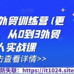 AI闪电做外贸训练营(更新25年1月)，从0到3外贸万人实战课