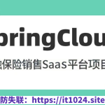 基于SpringCloud微服务 金融保险销售SaaS平台项目2024（资料完整）